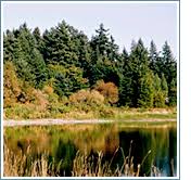 With coronavirus posing a significant risk to seniors, patient safety is of utmost importance. Woodland Creek Community Park Parks And Facilities City Of Lacey Washington Usa