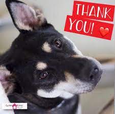 Thank you for our beautiful puppy. Thank You So So Much Had The Catherine S Puppies Facebook
