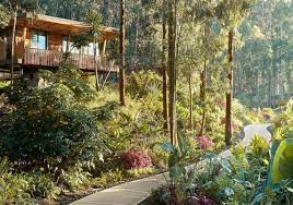 Rwanda is a unitary republic in central and eastern africa. Why Rwanda Is A Truly Spectacular Honeymoon Destination