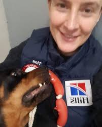 Sparta.k9.Eftersøgningshund. Amager's Unick..🐕🛟