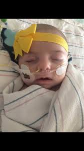 Fundraiser for Olivia Ciacelli by DLouisa Ford : Helping Adam and Olivia  Ciacelli