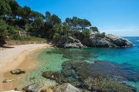 We did not find results for: Cala Del Pi Picture Of Hotel Cala Del Pi Platja D Aro Tripadvisor