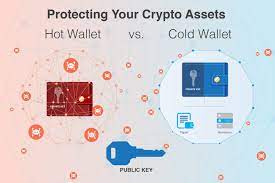 We looked at more than a dozen bitcoin wallets all over the world and decided on the top hot and cold wallets based on factors such as security, costs, and customer reviews. Hot Wallet Vs Cold Wallet Best Way To Store Cryptocurrency Bitira