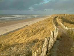 In Holidayhome Egmond Aan Zee North Holland For 12 Persons