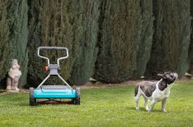 All ingredients used in the blue planet line have been fastidiously tested by skin care experts to ensure their unmatched effectiveness and tolerability! Your Perfect Lawn Is Bad For The Environment Here S What To Do Instead Discover Magazine