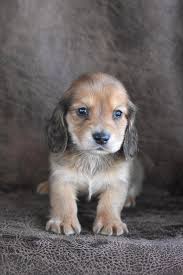 Where are some neighborhoods or houses with pretty Christmas Lights in  Easley? I already know about the lights by the old speedway, and tiny town. 