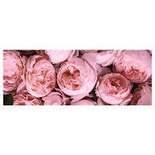 In the ring today are roses and peonies. Bjorksta Picture Pink Peony 140x56 Cm Ikea