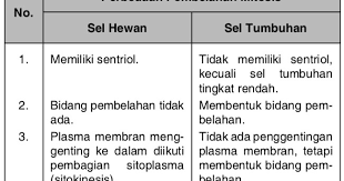 Mari kita lihat apa perbedaan sel hewan dan sel tumbuhan juga persamaan antara keduanya. Jelaskan Perbedaan Antara Pembelahan Mitosis Pada Sel Hewan Dan Tumbuhan Buatlah Mas Dayat
