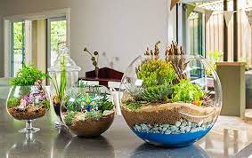 Debido a las condiciones extremas en las que han. 30 Ideas Para Decorar Con Cactus Y Terrarios Como Hacer Terrarios Hacer Terrario Plantas Para Terrario