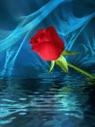 Download Flowers Hearts Dream Gifs