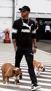 Lewis hamilton regained the world championship lead for the first time since may after fighting back hamilton had to stop at the end of the next lap, dropping to the tail of the field, leaving ocon to fend. Cocoa And Roscoa Lewis Hamilton Lewis Hamilton Formula 1 Hamilton