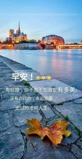 pin by 亚男 李 on good morning good morning picture good morning greetings morning pictures