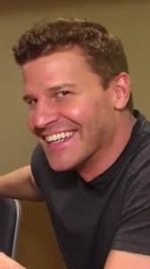 David Boreanaz as Seeley Booth in Bones TV Show