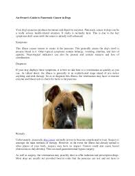 When our pup is sick, we always want to know why. An Owner S Guide To Pancreatic Cancer In Dogs