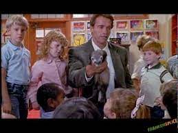 What Happened To Your Dog This Is Not A Dog This Is A Ferret What S A Ferret That S A Ferret If He Bites You You Get Rabi Your Dog Movies Ferret