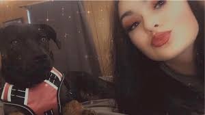 Mixed breed dog identification suggestions