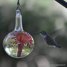 The glass hummingbird feeders are exceptional devices to feed the bird. Or Hummingbird Feeder The Kennedy Style Hummingbird Feeder Etsy