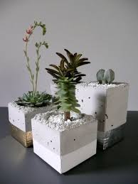 Souvenirs con plantas suculentas en macetero de madera terciada personalizable, ideal para regalo corporativo, matrimonio, bautizo, baby shower. Centros De Mesa 2021 Originales Y Bonitos 110 Fotos