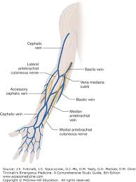 Image result for Peripheral IV Access