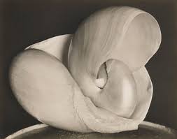 In 1904, with the lessons of his first paris sojourn still fresh in his mind, steichen had turned his camera to his newly adopted city and to the astonishingly tall skyscraper designed by chicago architect daniel h. Edward Weston His Life And Photographs Christie S