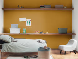 Akzonobel is the world's leading decorative coatings company and number one in the world for decorative paints and performance coatings. Mustard Blanket Dulux