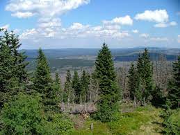 It runs along the czech border a. Bavarian Forest Wikipedia