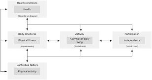 model of bouchard and the icf model combined download