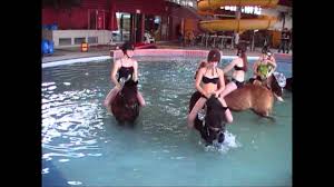 J Ai Aquaponey L Excuse Devenue Realite Dans Une Piscine Du Calvados