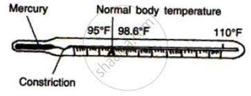 A laboratory thermometer is a tool used in laboratories to measure temperature with a high level of accuracy. Draw A Neat And Labeled Diagram Of A Clinical Thermometer Physics Shaalaa Com