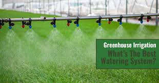 We did not find results for: Greenhouse Irrigation What S The Best Watering System