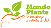In questo viaggio, che copre 6 continenti e 55 paesi, vengono raccontate le storie incredibili del legame che si è creato tra l'umanità e 80 piante grazie alla loro bellezza e alle loro proprietà naturali. Vendita Piante Da Giardino Piante Da Interno Ed Esterno Vivaio Mondo Piante