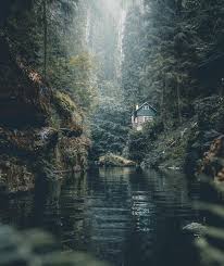 Pin By Gabriel Scopin On Srd Wood House Cabin Orman Evleri Nature Cabins In The Woods Scenery