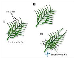 手作り玩具 ソテツ 虫かご