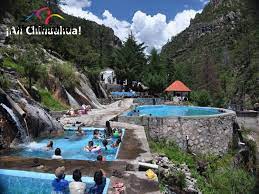 Pin On Tips Chihuahua