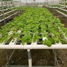 China Sistema Aquaponia Pvc Tubo Para Hidroponia Vertical Jardim Buy Aquaponia Da Tubulacao Do Pvc Hidroponia Jardim Vertical Hidroponico Nft Rego Product On Alibaba Com