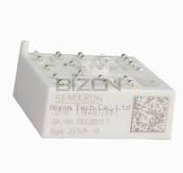 SKIIP12NAB126V1 Original New Power Modules in Stock