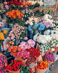 All Things Shabby And Beautiful Photo Pretty Flowers Flower Aesthetic Beautiful Flowers