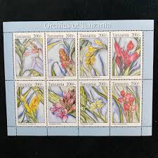 Image result for Schizochilus sulphureus