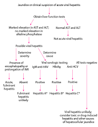 Some people or animals with hepatitis have no symptoms, whereas others develop yellow discoloration of the skin and whites of the eyes (jaundice), poor appetite, vomiting, tiredness, abdominal pain, and diarrhea. Overview Of Acute Viral Hepatitis Hepatic And Biliary Disorders Msd Manual Professional Edition
