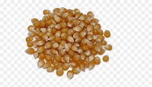 138,000+ vectors, stock photos & psd files. Transparent Chicken Feed Png Png Download Vhv