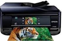 Other drivers most commonly associated with epson xp 412 413 415 series problems Epson Xp 800 Driver And Software Downloads