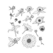 Black And White Flower Crown Drawing Drawing Flowers Mandala In Ink In 2020 Flower Drawing Birth Flower Tattoos Marigold Tattoo