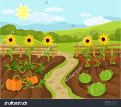 Vector Garden Flat Cartoon Illustration 291373565 Shutterstock Art Drawings Simple Cartoon Illustration Illustration