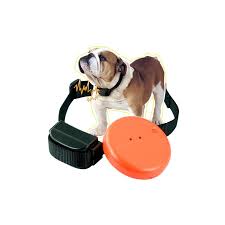 Since invisible dog fences are powered by the electric transmitter unit, power failures will shut down your wireless fence. Wholesale Cleverdog Invisible Fence Dog Shock Collar From China