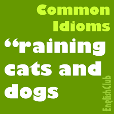 If you want to make your english conversation class as interesting, engaging, and fun as possible for the students, you'll need this is another small talk conversation activity for adults that gets student mingling and mixing in an esl class for adults. Idioms Vocabulary Englishclub