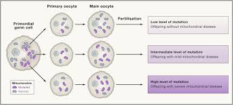 Mitochondrial Diseases Hope For The Future Sciencedirect