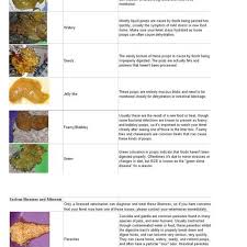 The Raw Ferret Poop Chart