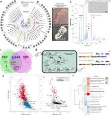 High school, college/university, master's or phd, and we will assign you a writer who can satisfactorily meet your professor's expectations. A Collection Of Bacterial Isolates From The Pig Intestine Reveals Functional And Taxonomic Diversity Nature Communications