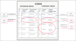 Illustrating Types Of Codis Combined Dna Index System Hits And The Download Scientific Diagram