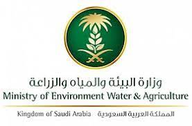 وزارة البيئة والمياه والزراعة السعودية هي الوزارة المسؤولة عن سياسة البيئة والمياه والزراعة بالسعودية، ويتولى رئاستها معالي المهندس عبد الرحمن بن عبدالمحسن الفضلي. ÙˆØ²Ø§Ø±Ø© Ø§Ù„Ø¨ÙŠØ¦Ø© ÙˆØ§Ù„Ù…ÙŠØ§Ù‡ ÙˆØ§Ù„Ø²Ø±Ø§Ø¹Ø© Ø§Ù„Ø³Ø¹ÙˆØ¯ÙŠØ© ÙˆÙŠÙƒÙŠØ¨ÙŠØ¯ÙŠØ§